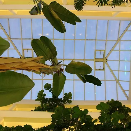 Vital By Check-in Portugal Albufeira