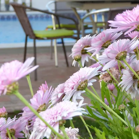 Сasa de vacaciones Vital By Check-in Portugal Albufeira