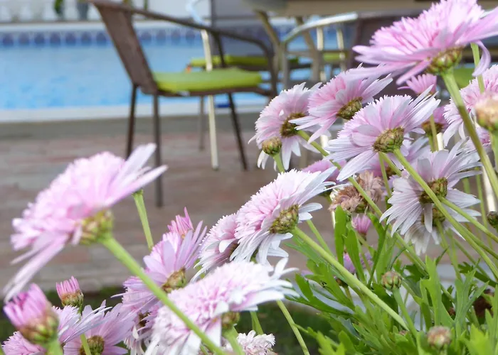 Holiday home Vital - Private Pool - 8 Guests - Albufeira Albufeira